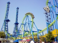 Click for Full Size Photo